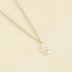 Collier Ras Du Cou PETILLE - Cristal / Doré